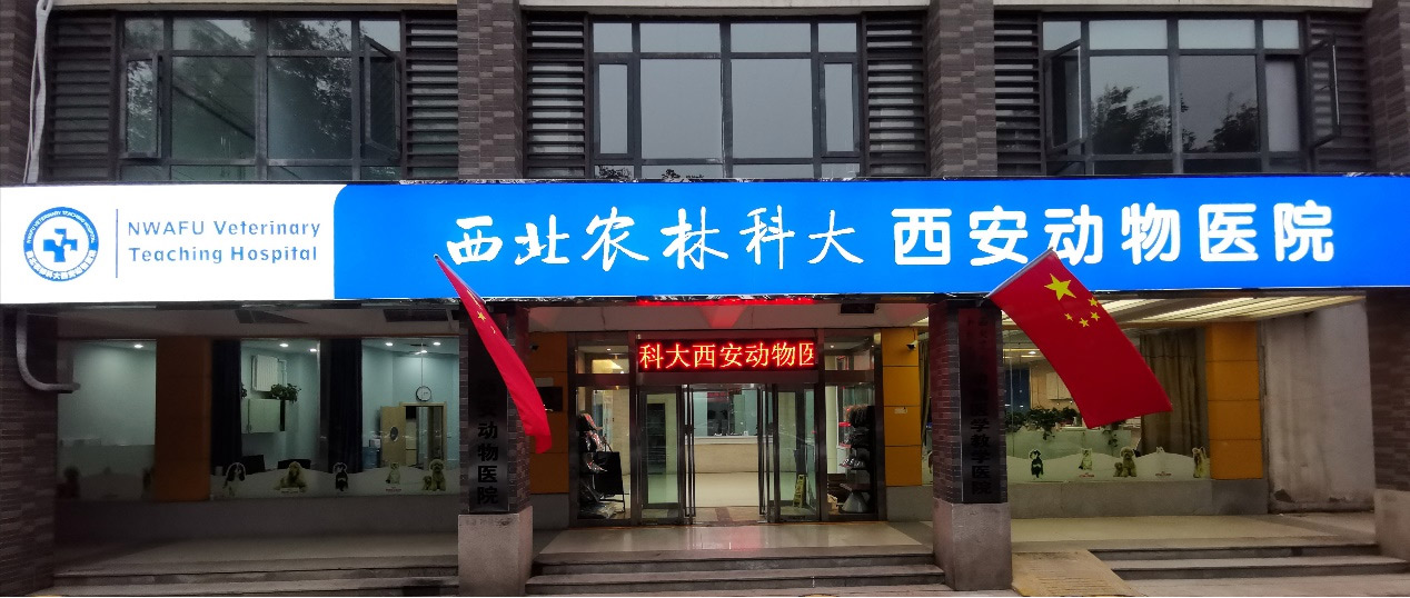 圖片9z.jpg